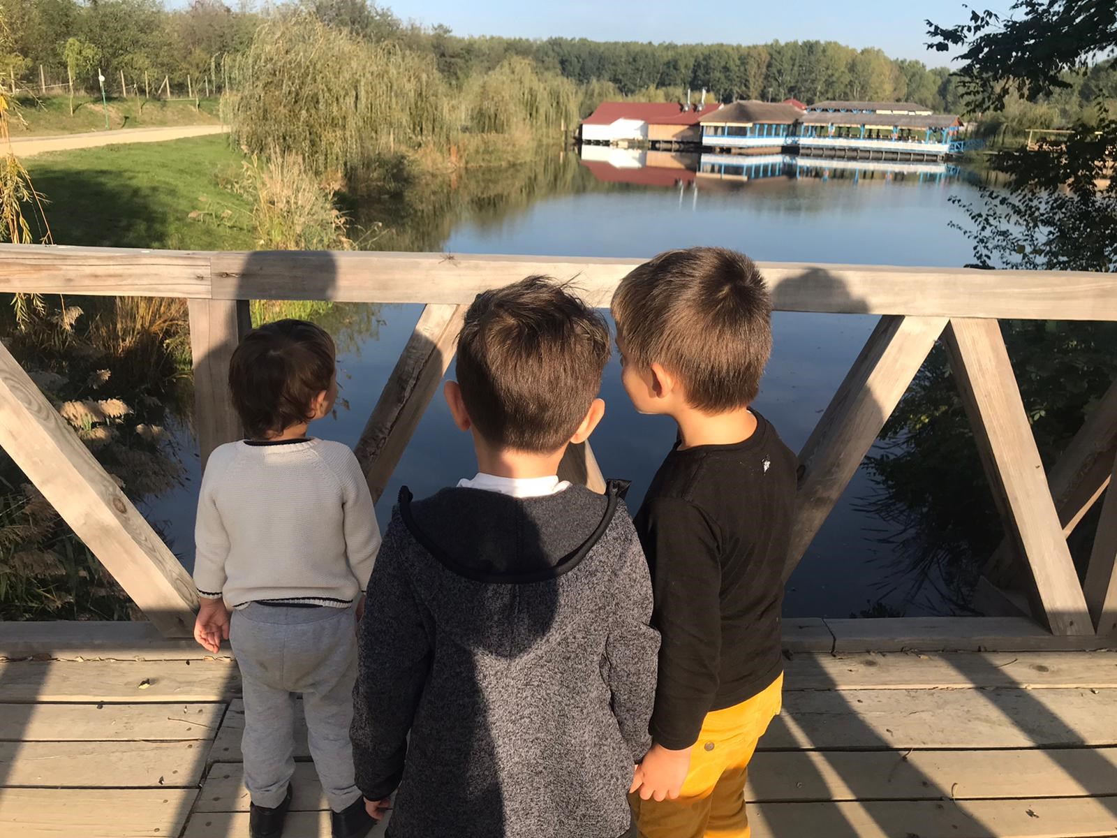 Zaga Zaga - copiipepodlazagazaga.jpg